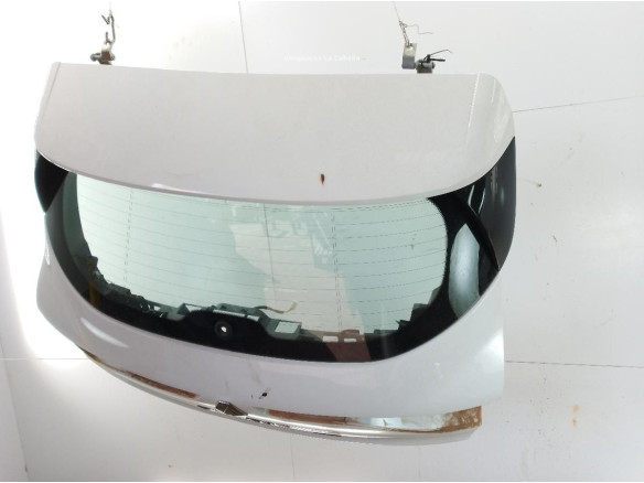 901007547R  PORTON RENAULT MEGANE IV (B9A/M_)|Desguaces La Cabaña
