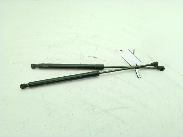 844309685R AMORTIGUADOR PORTON / TAPA MALETA RENAULT MEGANE IV (B9A/M_)|Desguaces La Cabaña