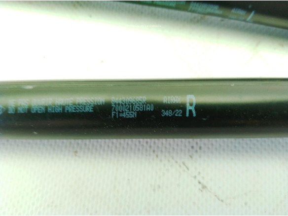 844309685R AMORTIGUADOR PORTON / TAPA MALETA RENAULT MEGANE IV (B9A/M_)|Desguaces La Cabaña