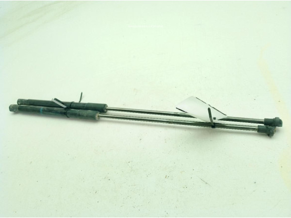 9847295480 AMORTIGUADOR PORTON / TAPA MALETA CITROEN C4 I (LC_)|Desguaces La Cabaña