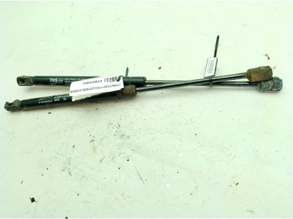 08410500 AMORTIGUADOR PORTON / TAPA MALETA RENAULT MEGANE II Hatchback van (KM0/2_)|Desguaces La Cabaña