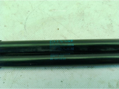 9813913880 AMORTIGUADOR PORTON / TAPA MALETA CITROEN C4 CACTUS|Desguaces La Cabaña