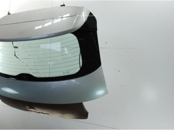 9800805380  PORTON CITROEN C4 CACTUS|Desguaces La Cabaña