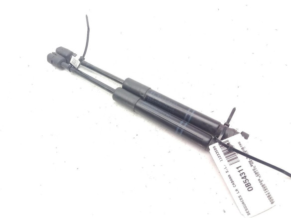 7255812 AMORTIGUADOR CAPO BMW 3 Touring (F31)|Desguaces La Cabaña
