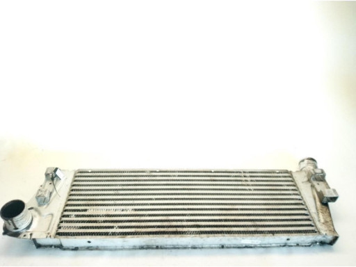 MOTOR LIMPIAPARABRISAS DEL RENAULT MEGANE II (BM0/1_, CM0/1_)|Desguaces La Cabaña