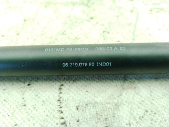 9621907680 AMORTIGUADOR PORTON / TAPA MALETA CITROEN XSARA (N1)|Desguaces La Cabaña