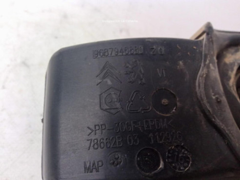 9687946880 TAPA COMBUSTIBLE CITROEN DS4|Desguaces La Cabaña
