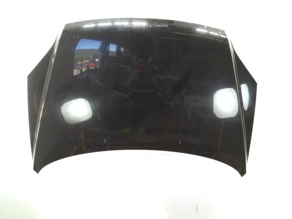 664001F010  CAPO KIA SPORTAGE (JE_, KM_)|Desguaces La Cabaña