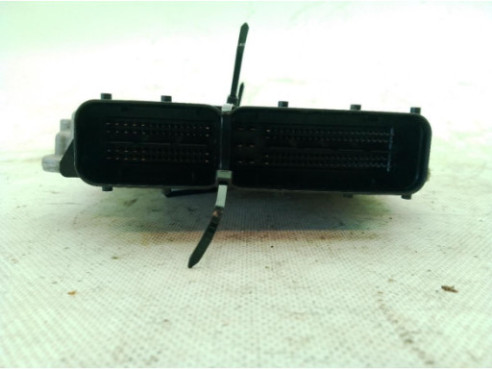 04E907309F CENTRALITA MOTOR AUDI A3 Sportback (8VA, 8VF)|Desguaces La Cabaña