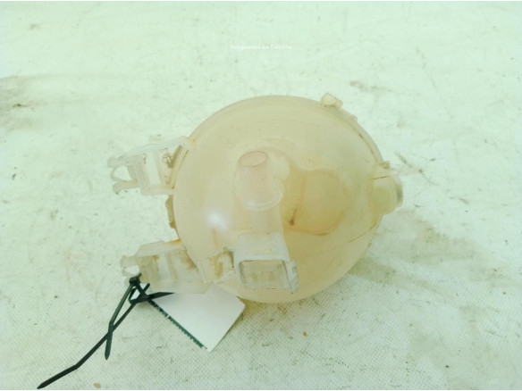 9800777280 BOTE EXPANSOR OPEL CROSSLAND X (P17)|Desguaces La Cabaña