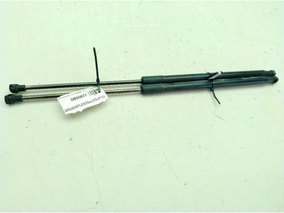 9813913880 AMORTIGUADOR PORTON / TAPA MALETA CITROEN C4 CACTUS|Desguaces La Cabaña