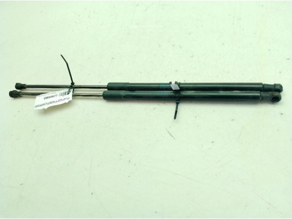 9813913880 AMORTIGUADOR PORTON / TAPA MALETA CITROEN C4 CACTUS|Desguaces La Cabaña