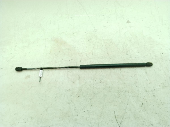 9637509380 AMORTIGUADOR CAPO CITROEN XSARA (N1)|Desguaces La Cabaña