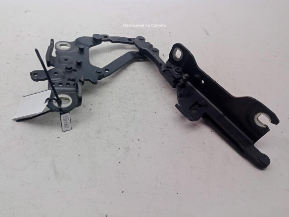 7239415 BISAGRA CAPO IZQ BMW 3 Touring (F31)|Desguaces La Cabaña