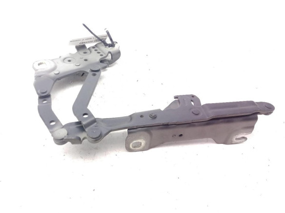 7239415 BISAGRA CAPO IZQ BMW 3 Touring (F31)|Desguaces La Cabaña