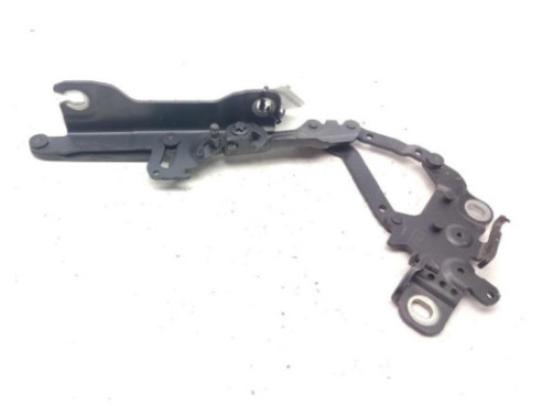 7239416 BISAGRA CAPO DER BMW 3 Touring (F31)|Desguaces La Cabaña