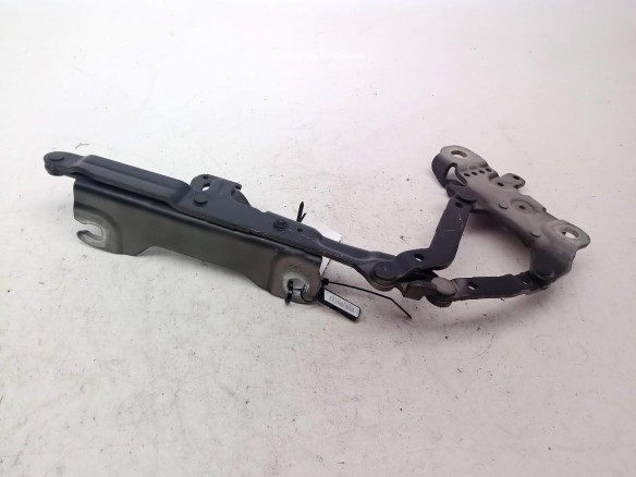 7239416 BISAGRA CAPO DER BMW 3 Touring (F31)|Desguaces La Cabaña