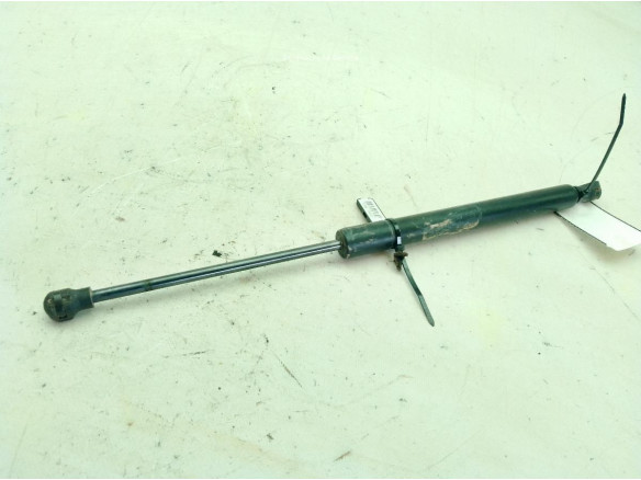 654703934R AMORTIGUADOR CAPO RENAULT CLIO IV (BH_)|Desguaces La Cabaña