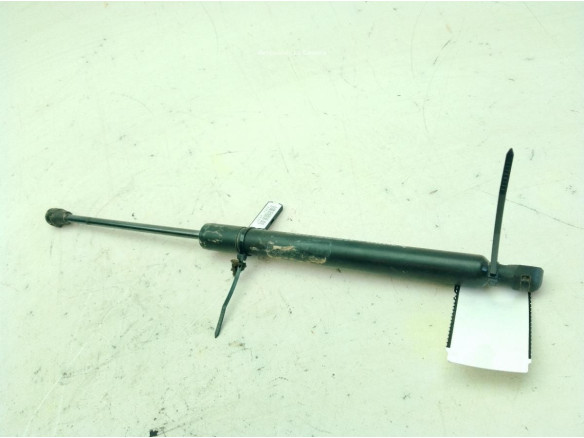 654703934R AMORTIGUADOR CAPO RENAULT CLIO IV (BH_)|Desguaces La Cabaña