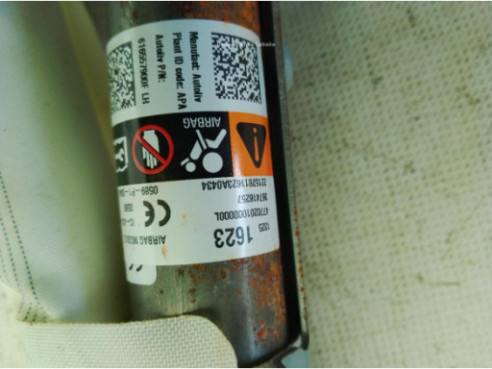 13251623 AIRBAG CORTINA IZQ OPEL ZAFIRA TOURER C (P12)|Desguaces La Cabaña