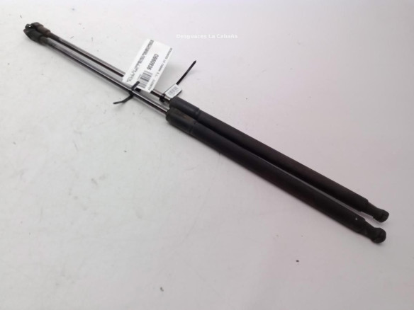 AMORTIGUADOR PORTON / TAPA MALETA NISSAN QASHQAI / QASHQAI +2 I (J10, JJ10)|Desguaces La Cabaña