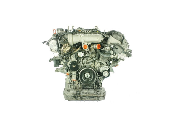 628960 MOTOR MERCEDES BENZ CLASE S (W220)|Desguaces La Cabaña