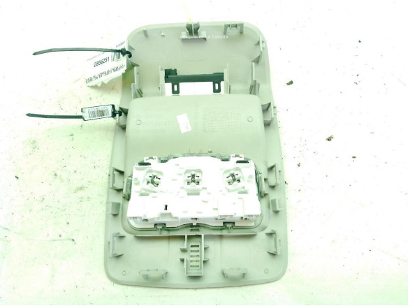 9801287577 PLAFON DEL CITROEN C4 CACTUS|Desguaces La Cabaña