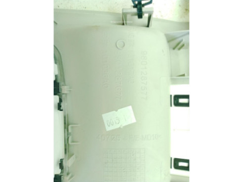9801287577 PLAFON DEL CITROEN C4 CACTUS|Desguaces La Cabaña