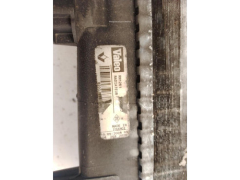 8200115541 RADIADOR AGUA RENAULT MEGANE II (BM0/1_, CM0/1_)|Desguaces La Cabaña