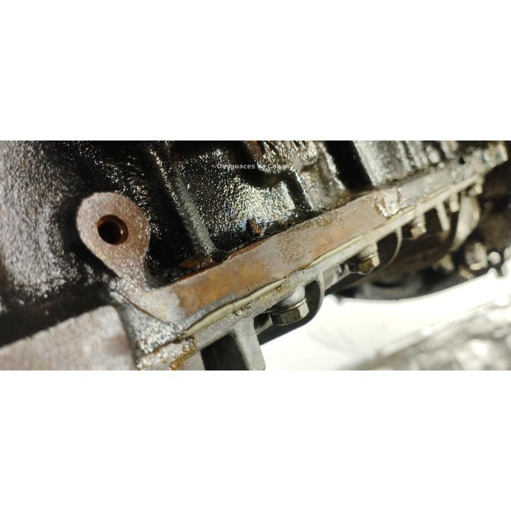 665926 MOTOR SSANGYONG RODIUS |Desguaces La Cabaña