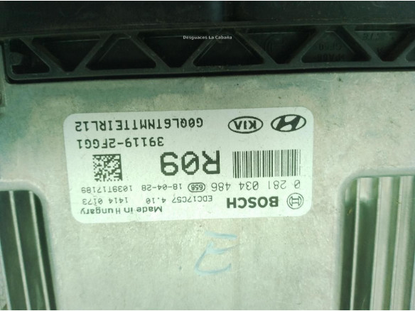 391192FGG1 CENTRALITA MOTOR KIA SPORTAGE (QL)|Desguaces La Cabaña