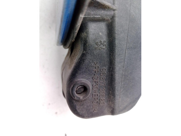 TAPA COMBUSTIBLE PEUGEOT 207 (WA_, WC_)|Desguaces La Cabaña