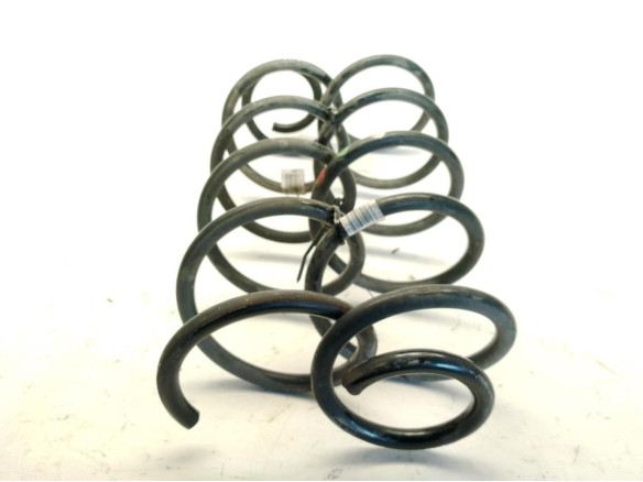 9824895480  MUELLE SUSPENSION TRA IZQ CITROEN BERLINGO (ER_, EC_)|Desguaces La Cabaña