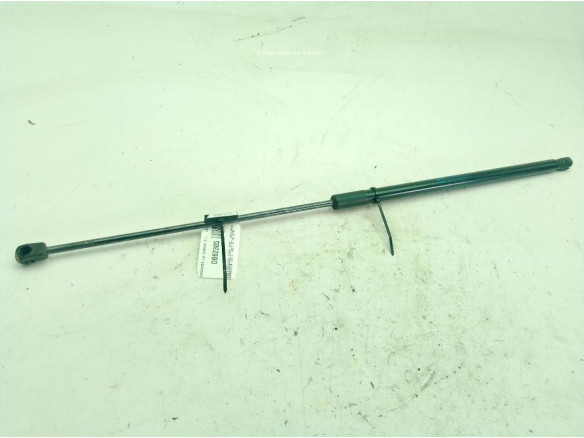 315005777 AMORTIGUADOR CAPO OPEL INSIGNIA A (G09)|Desguaces La Cabaña