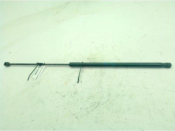 315005777 AMORTIGUADOR CAPO OPEL INSIGNIA A (G09)|Desguaces La Cabaña