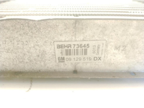 09129519DX INTERCOOLER OPEL ASTRA G Fastback (T98)|Desguaces La Cabaña