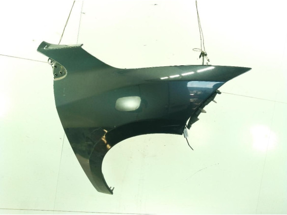 ALETA DEL DER RENAULT MEGANE III Fastback (BZ0_)|Desguaces La Cabaña