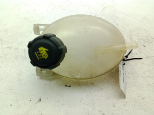 217107259R BOTE EXPANSOR DACIA SANDERO II|Desguaces La Cabaña