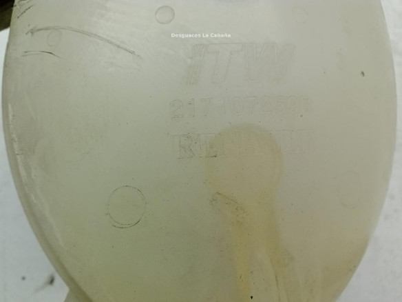 217107259R BOTE EXPANSOR DACIA SANDERO II|Desguaces La Cabaña