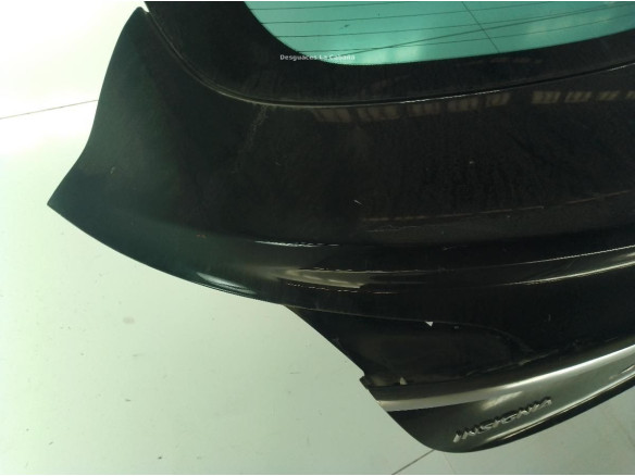 PORTON OPEL INSIGNIA A (G09)|Desguaces La Cabaña