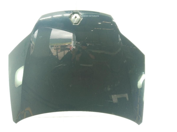 651000021R  CAPO RENAULT LAGUNA III (BT0/1)|Desguaces La Cabaña