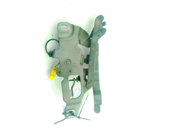 724988809 BISAGRA CAPO DER BMW 5 (F10)|Desguaces La Cabaña