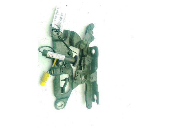 724988709 BISAGRA CAPO IZQ BMW 5 (F10)|Desguaces La Cabaña