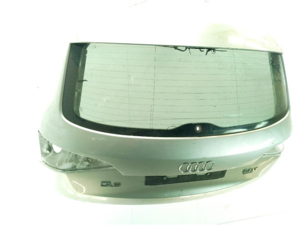 8R0827023C  PORTON AUDI Q5 (8RB)|Desguaces La Cabaña