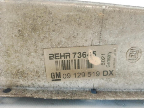 09129519DX INTERCOOLER OPEL ZAFIRA A Limusina (T98)|Desguaces La Cabaña
