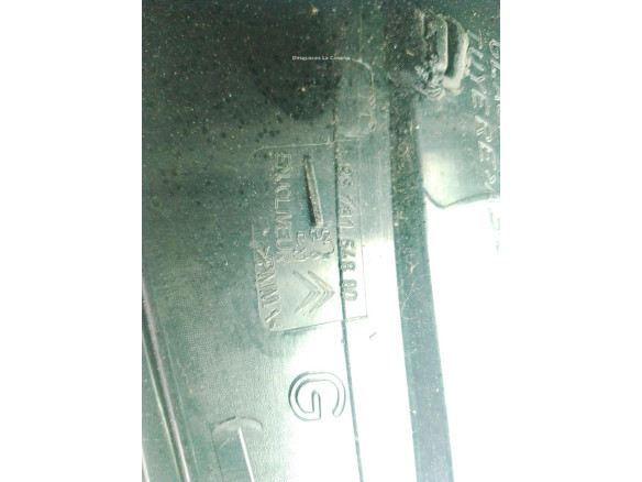 9673164880 PILOTO TRA IZQ EXT CITROEN C4 Picasso I Limusina (UD_)|Desguaces La Cabaña