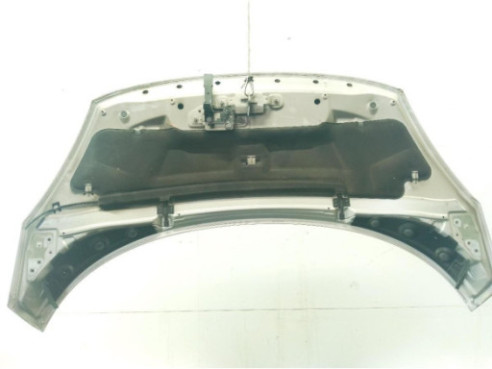 651008842R CAPO RENAULT GRAND SCENIC III (JZ0/1_)|Desguaces La Cabaña