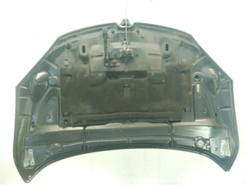 CAPO RENAULT MEGANE III Fastback (BZ0_)|Desguaces La Cabaña