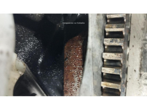 AVF MOTOR AUDI A4 (8E2, B6)|Desguaces La Cabaña