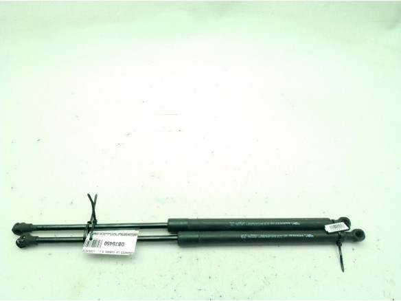 7000210559A0 AMORTIGUADOR PORTON / TAPA MALETA RENAULT MEGANE IV (B9A/M_)|Desguaces La Cabaña
